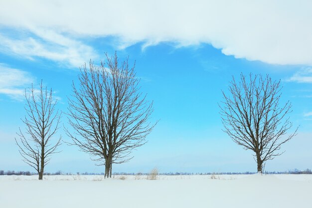 Bellissimo paesaggio invernale con alberi sullo sfondo del cielo blu