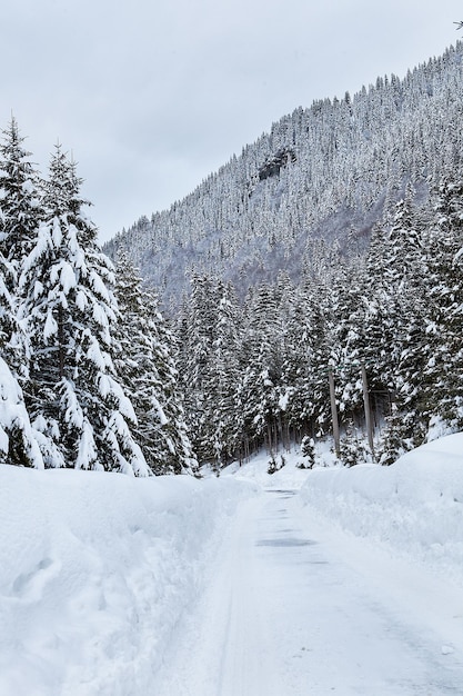 Bellissimo paesaggio invernale con neve mista. Sfondo invernale di natura.