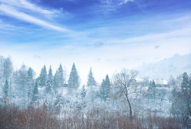 Bellissimo paesaggio invernale in campagna