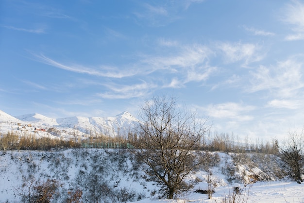 Bellissimo paesaggio invernale innevato delle montagne