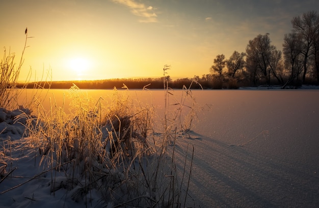 Bellissimo paesaggio invernale