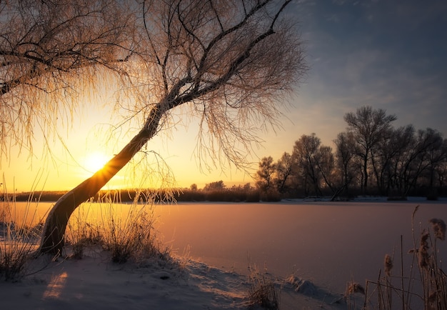 Bellissimo paesaggio invernale