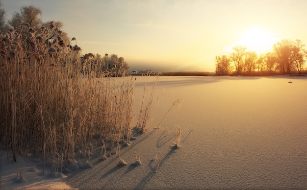 Bellissimo paesaggio invernale