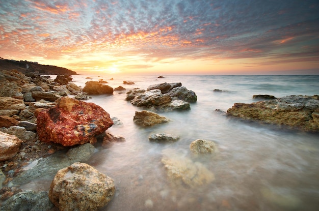 Bellissimo paesaggio marino. Composizione della natura.