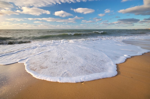 Bellissimo paesaggio marino Composizione della natura