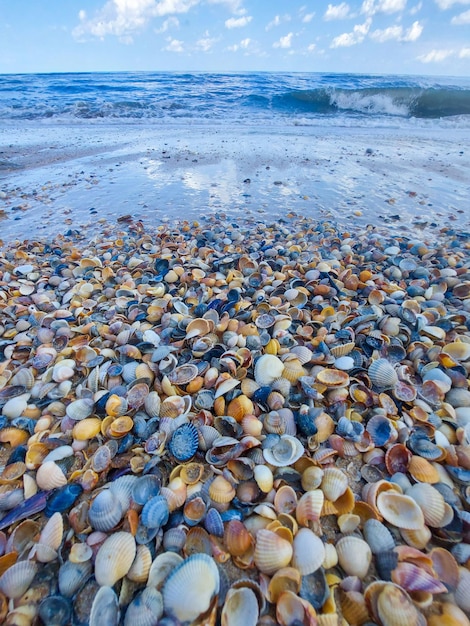 bellissimo paesaggio marino. la costa del mare o dell'oceano