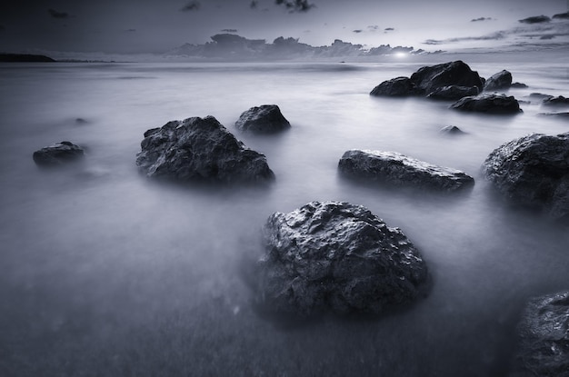 Bellissimo paesaggio marino monocromatico