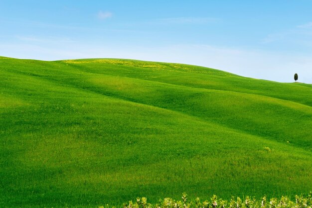 Bellissimo paesaggio minimalista primaverile con verdi colline nella campagna toscana