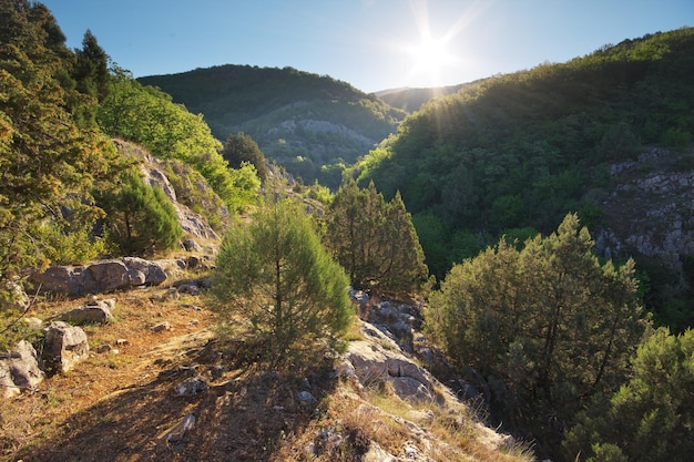 Bellissimo paesaggio montano