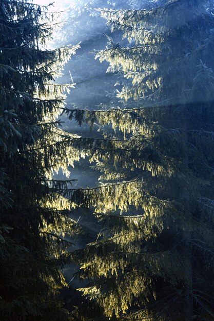 Bellissimo paesaggio montano