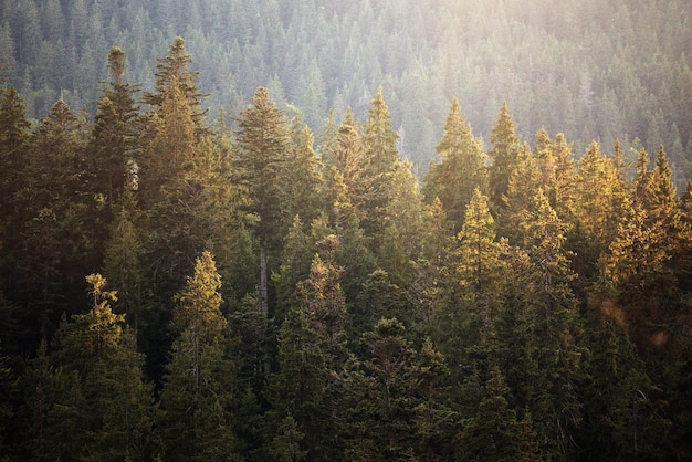 Bellissimo paesaggio montano