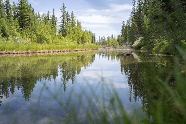 Bellissimo paesaggio naturale all'aperto