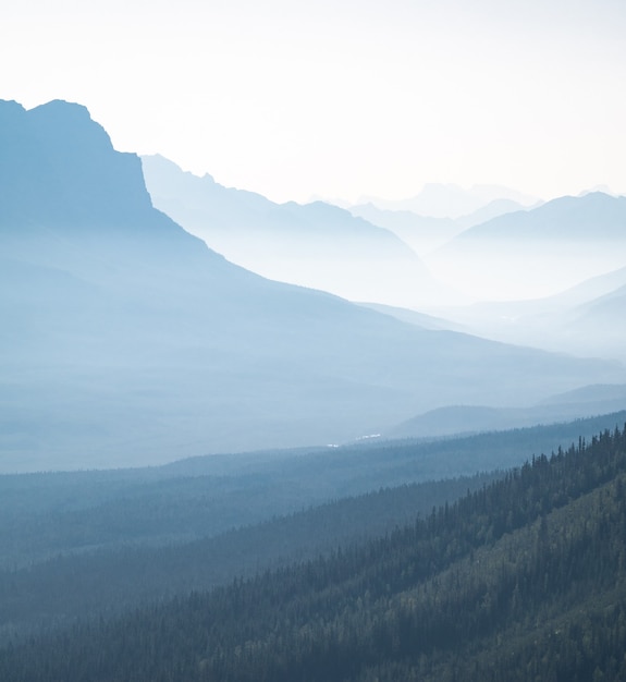 Bellissimo paesaggio naturale all'aperto