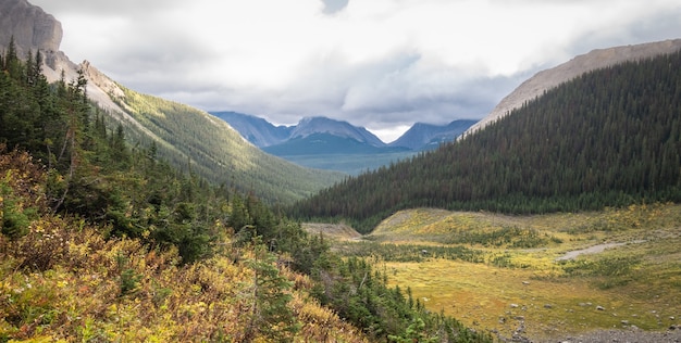 Bellissimo paesaggio naturale all'aperto