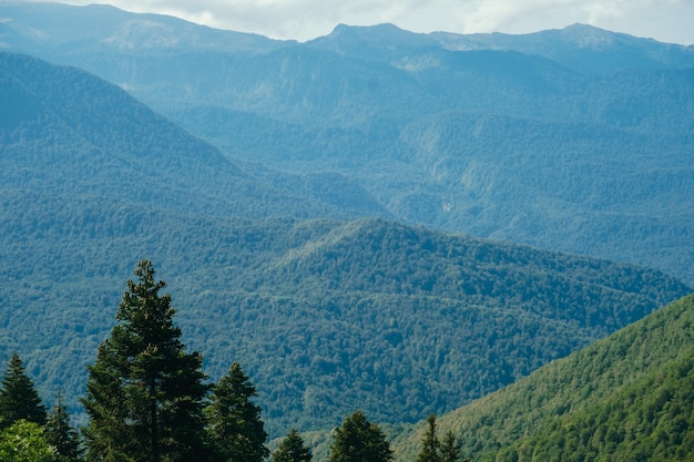 Bellissimo paesaggio naturale con montagne e alberi del Caucaso