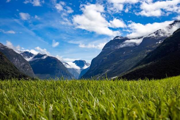 Bellissimo paesaggio naturale della Norvegia. lovatnet valle del lago Lodal.