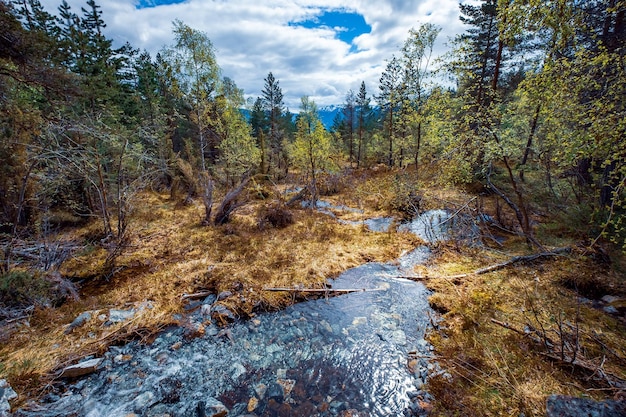 Bellissimo paesaggio naturale della Norvegia.