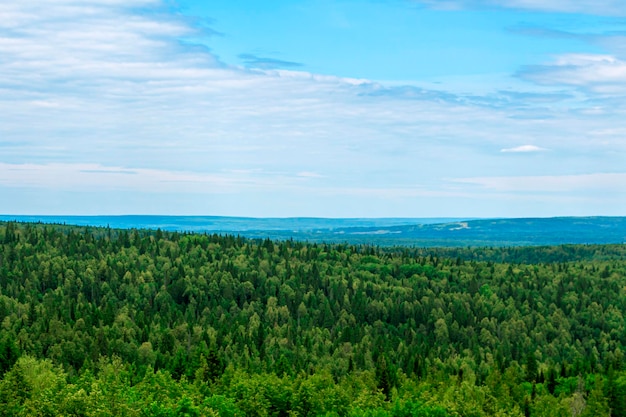 Bellissimo paesaggio naturale. Vista dalla montagna sulle valli forestali contro il cielo nuvoloso blu. Parco nazionale, colline stratificate. Punto di avvistamento. Bosco di latifoglie e conifere