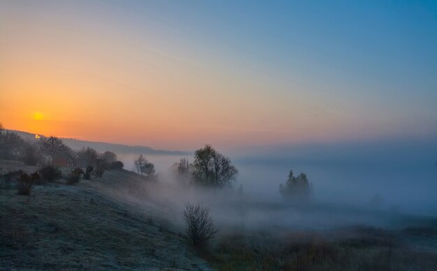 Bellissimo paesaggio nebbioso di alba autunnale.