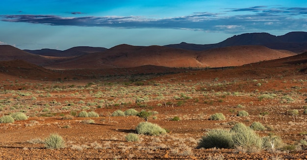 Bellissimo paesaggio paesaggistico della Namibia