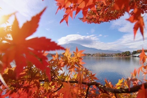 Bellissimo paesaggio panoramico della montagna Fuji, Giappone