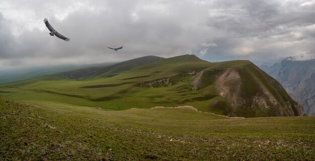 Bellissimo paesaggio panoramico sull'altopiano piovoso.