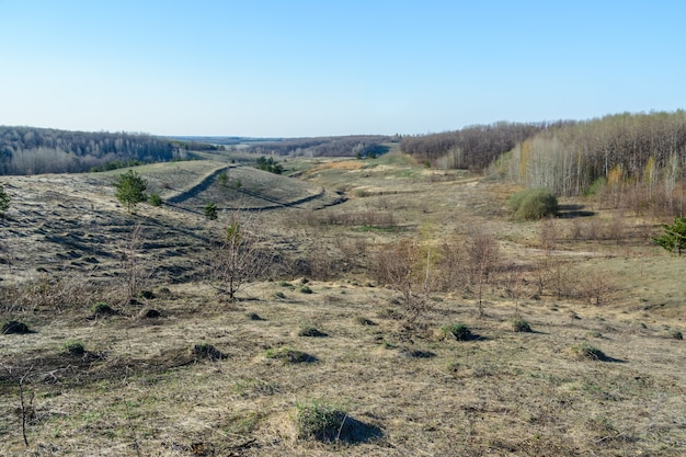 Bellissimo paesaggio primaverile: alberi, foreste, montagne, colline, campi, prati e cielo blu. L'inizio della primavera.