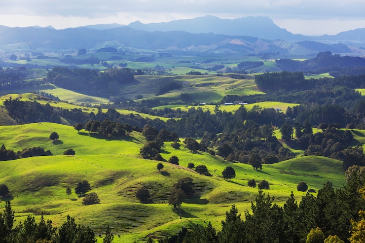 Foto bellissimo paesaggio rurale della nuova zelanda - verdi colline e alberi