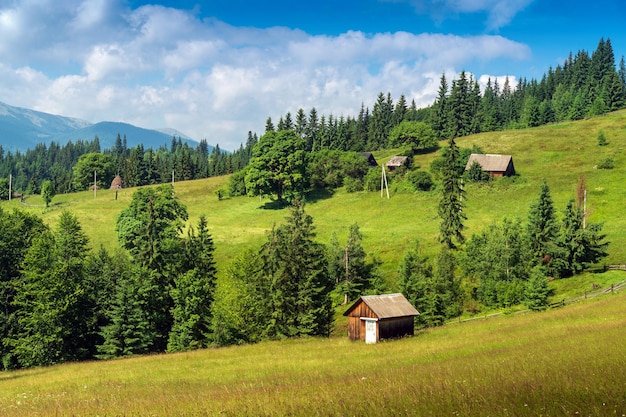 Bellissimo paesaggio rurale montuoso con vista sulla vecchia casa e sull'abete rosso dell'Ucraina dei Carpazi