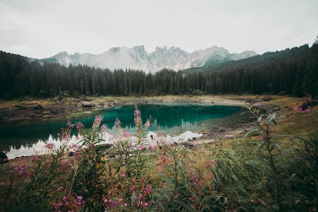 Bellissimo paesaggio sparato sulle Alpi italiane con laghi di montagna