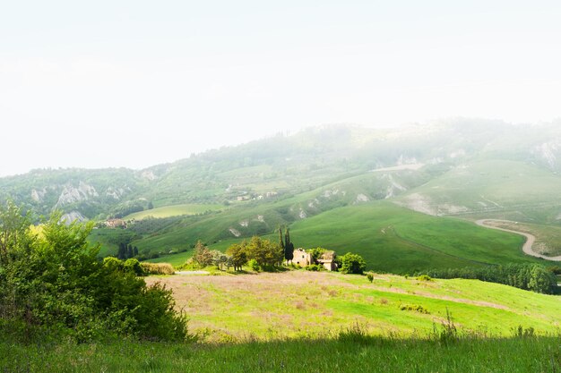 Bellissimo paesaggio toscano, provincia di Certaldo, Italia