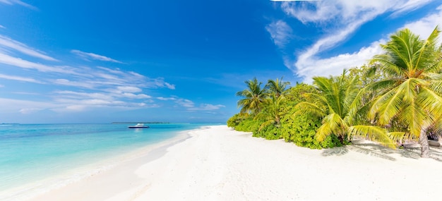 Bellissimo paesaggio tranquillo. Inspirational spiaggia tropicale, palme mare blu baia cielo soleggiato sabbia