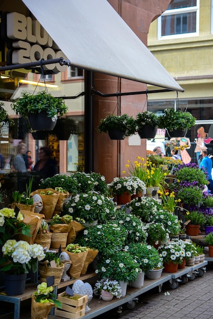 Bellissimo paesaggio urbano per le strade della città di Heidelberg in Europa in Germania