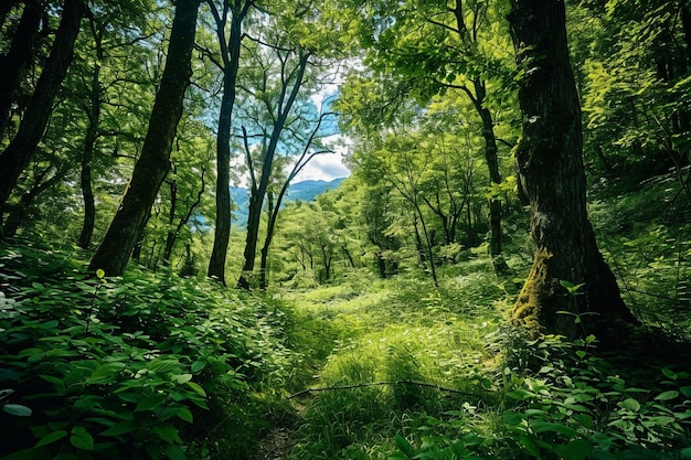 Bellissimo paesaggio verde con molte montagne sotto un cielo nuvoloso