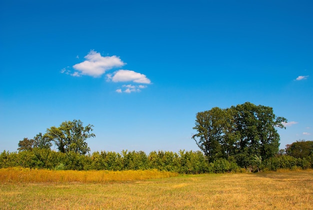 Bellissimo paesaggio