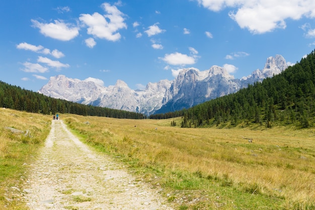 Bellissimo panorama alpino, gruppo Pala delle dolomiti dal lago di Calaita, paesaggio italiano