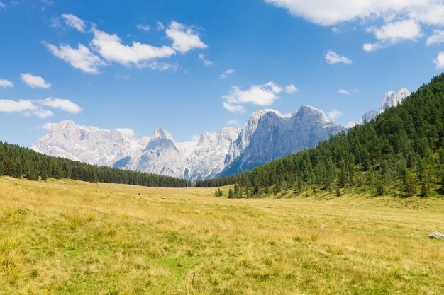 Bellissimo panorama alpino, gruppo Pala delle dolomiti dal lago di Calaita