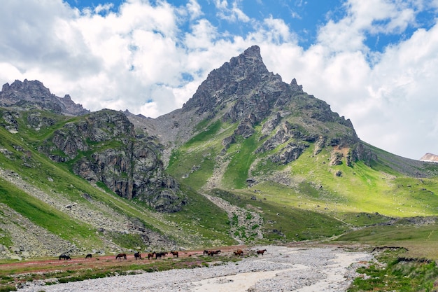 Bellissimo panorama di alte montagne rocciose con possenti ghiacciai, cime innevate e prati verdi contro il cielo blu e le nuvole