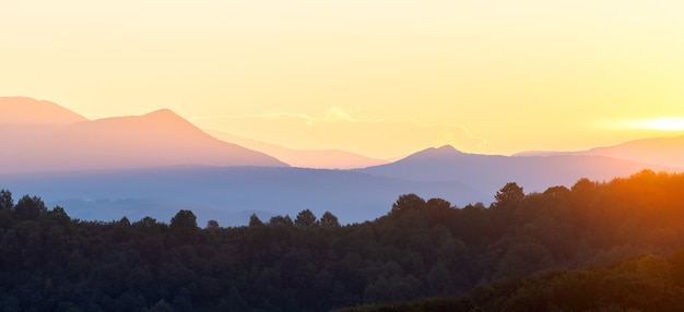 Bellissimo panorama di montagna del paesaggio con cime nebbiose e valle boscosa nebbiosa al tramonto.