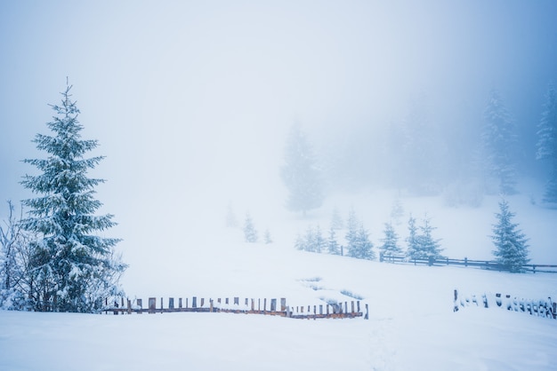 Bellissimo panorama di recinzioni