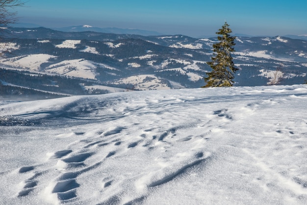 Bellissimo panorama invernale sulle colline