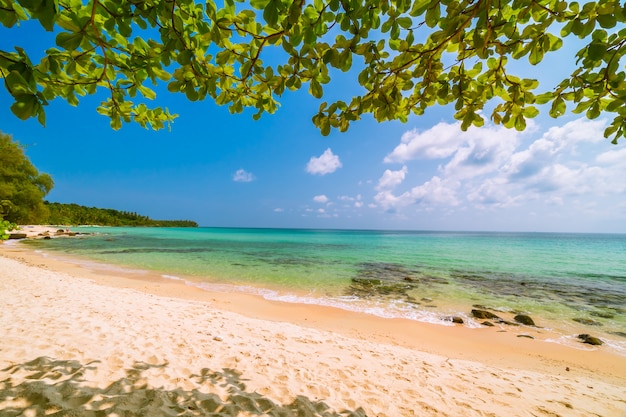 Bellissimo paradiso tropicale con spiaggia e mare