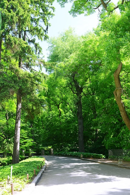 Bellissimo parco all'aperto