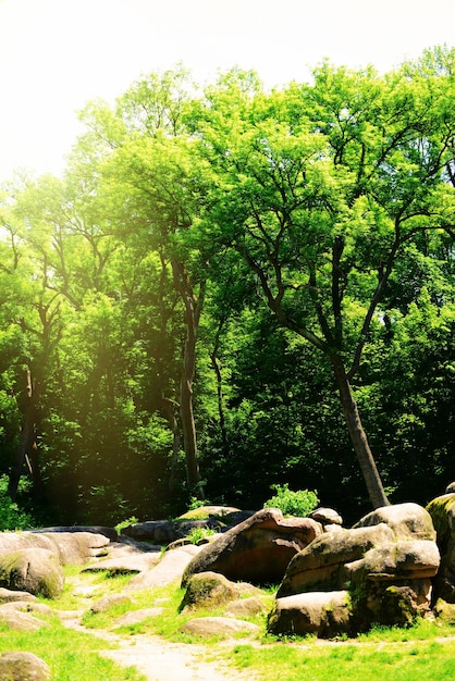 Bellissimo parco all'aperto