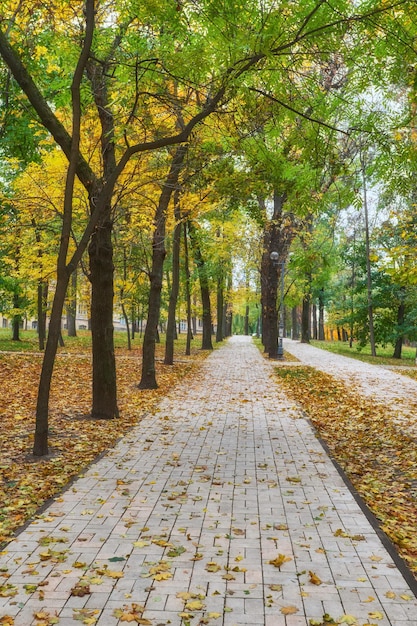 Bellissimo parco autunnale colorato