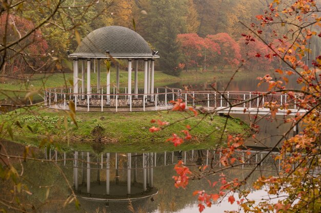 bellissimo parco autunnale con tempo di nebbia