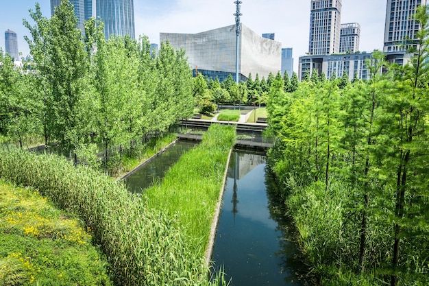 Bellissimo parco cittadino di fronte ai moderni edifici della città