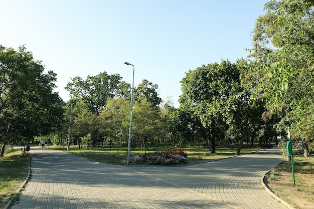 Bellissimo parco cittadino in una luminosa mattina di sole