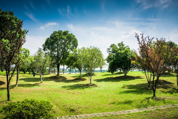 Bellissimo parco cittadino