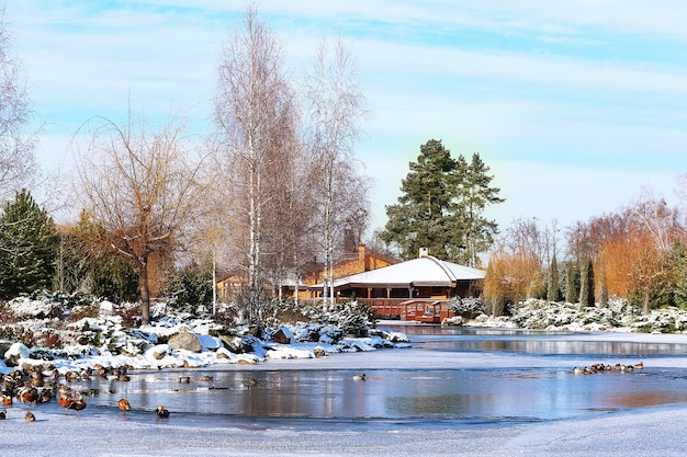 Bellissimo parco con lago in giornata invernale